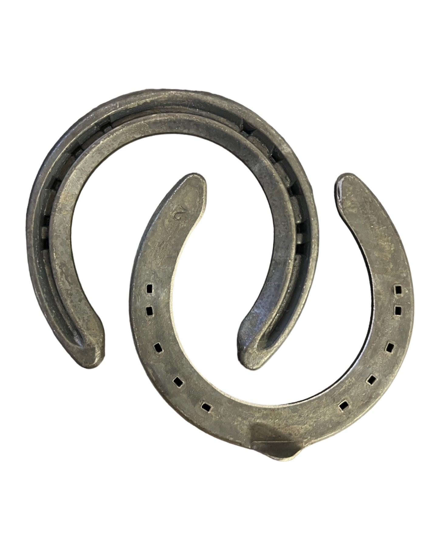 Quality Horse toe clipped fronts
