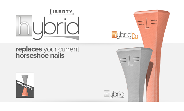 LIBERTY HYBRID 3 NAILS 250PCS
