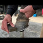 HMS Champion Concave horseshoes